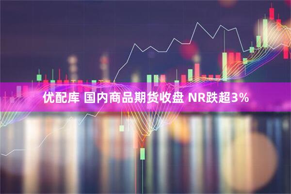 优配库 国内商品期货收盘 NR跌超3%