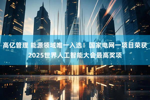 高亿管理 能源领域唯一入选！国家电网一项目荣获2025世界人工智能大会最高奖项