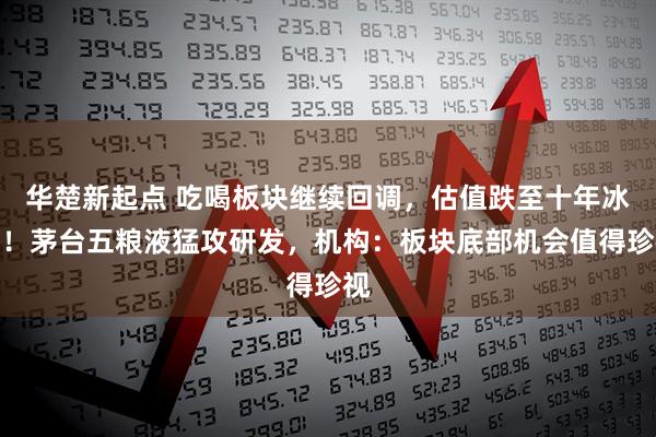 华楚新起点 吃喝板块继续回调，估值跌至十年冰点！茅台五粮液猛攻研发，机构：板块底部机会值得珍视