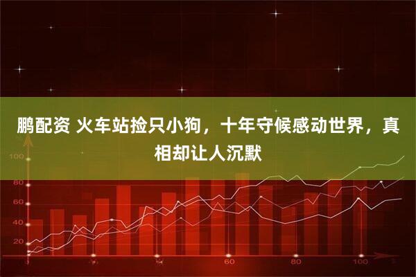 鹏配资 火车站捡只小狗，十年守候感动世界，真相却让人沉默
