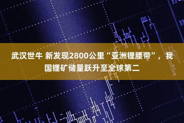 武汉世牛 新发现2800公里“亚洲锂腰带”，我国锂矿储量跃升至全球第二